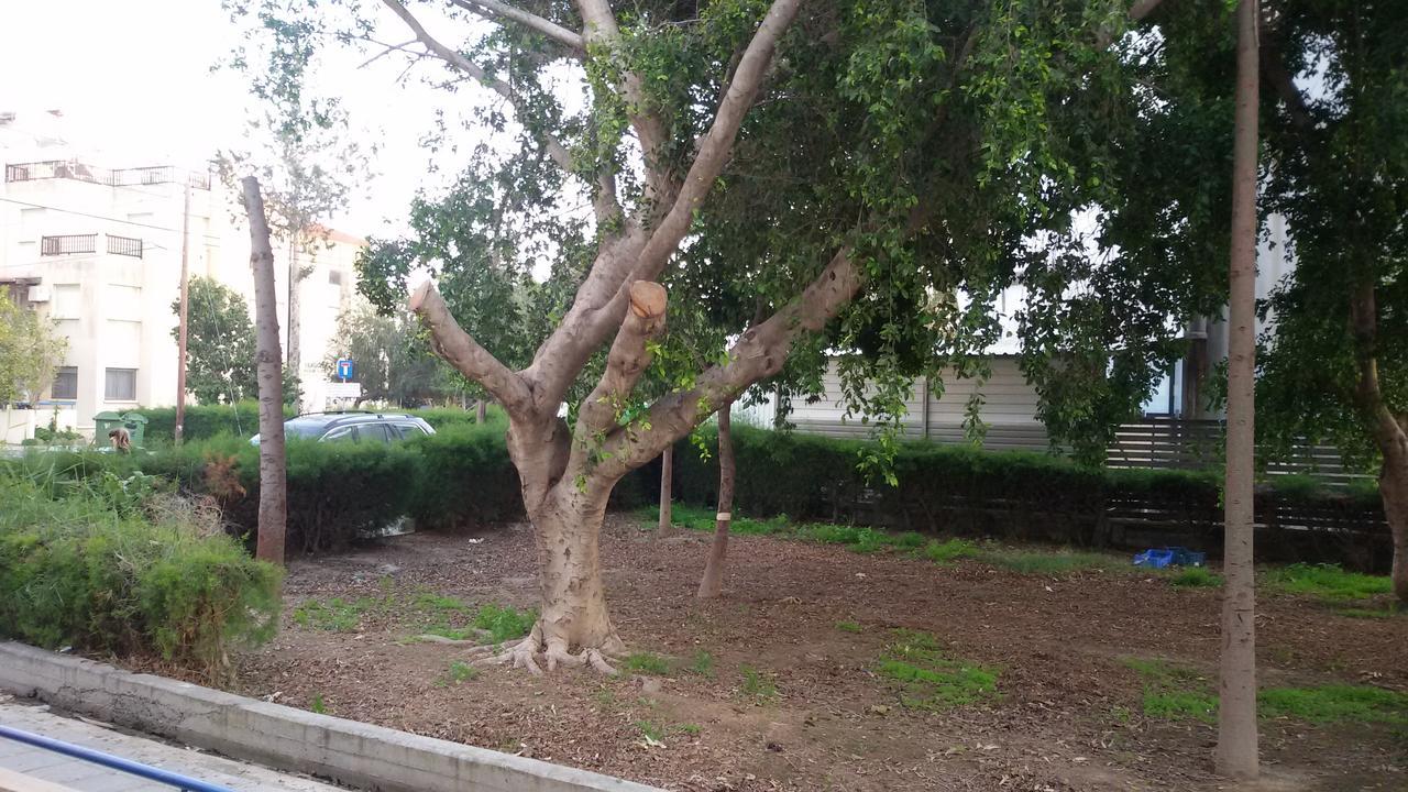 Lca2 Flat For You Apartment Larnaca Luaran gambar